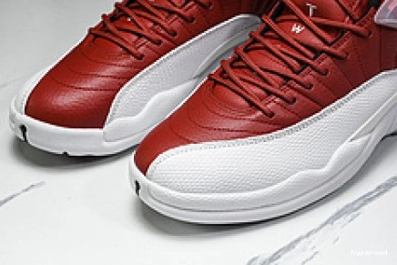 Hyperoad Jordan 12 Air 